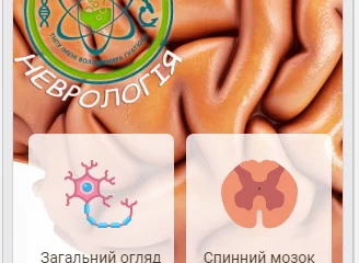 Анатомія людини. Неврологія