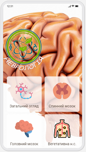 Анатомія людини. Неврологія